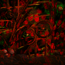 Слоны и мухоморы