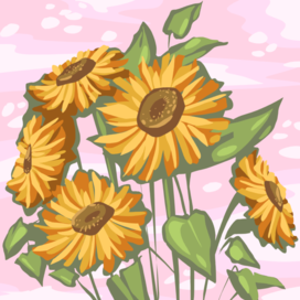 Подсолнухи