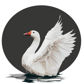 Гусь - домашний лебедь