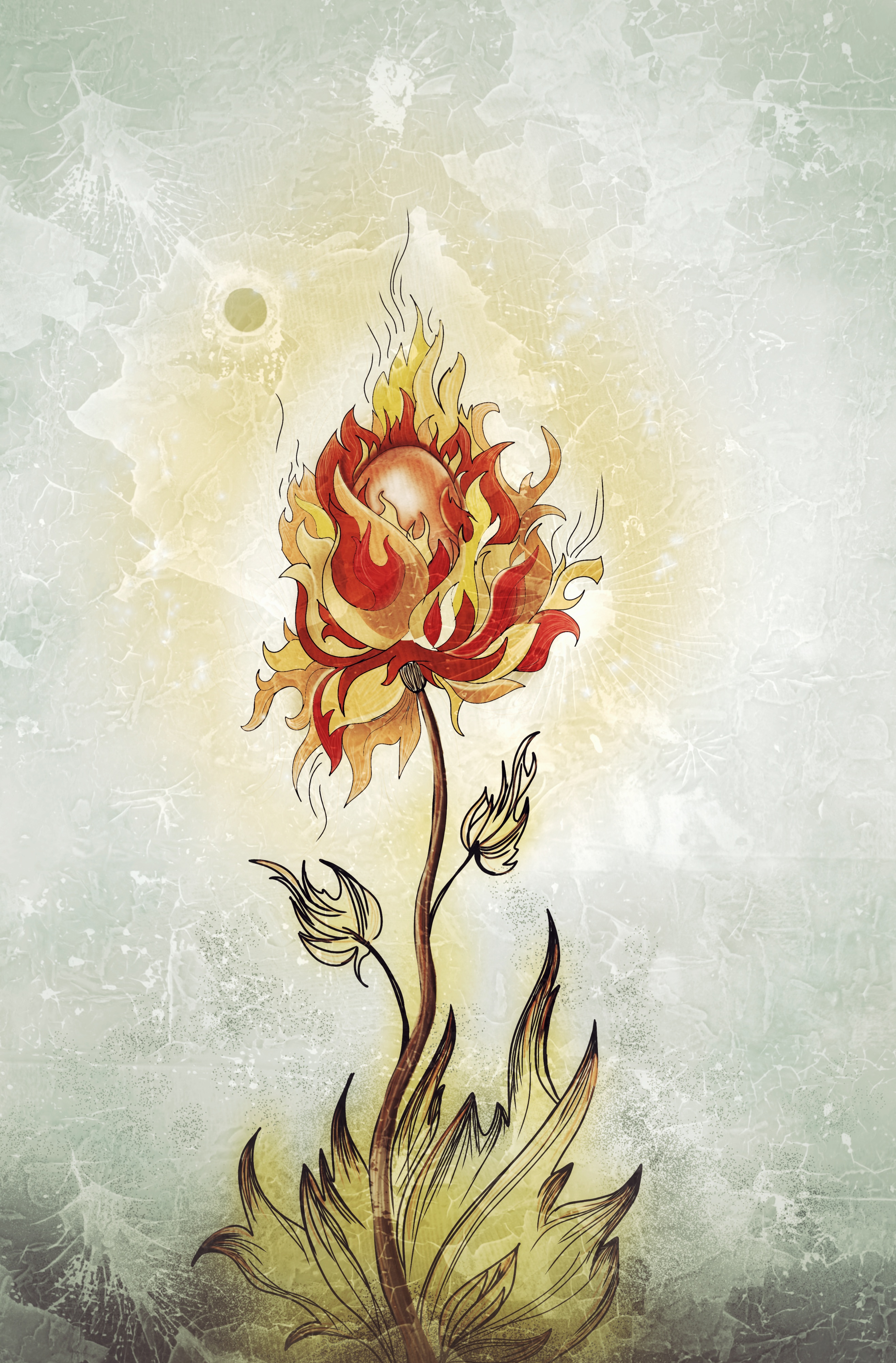 Огненный цветок боли