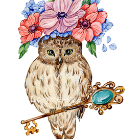 Сова птица весна