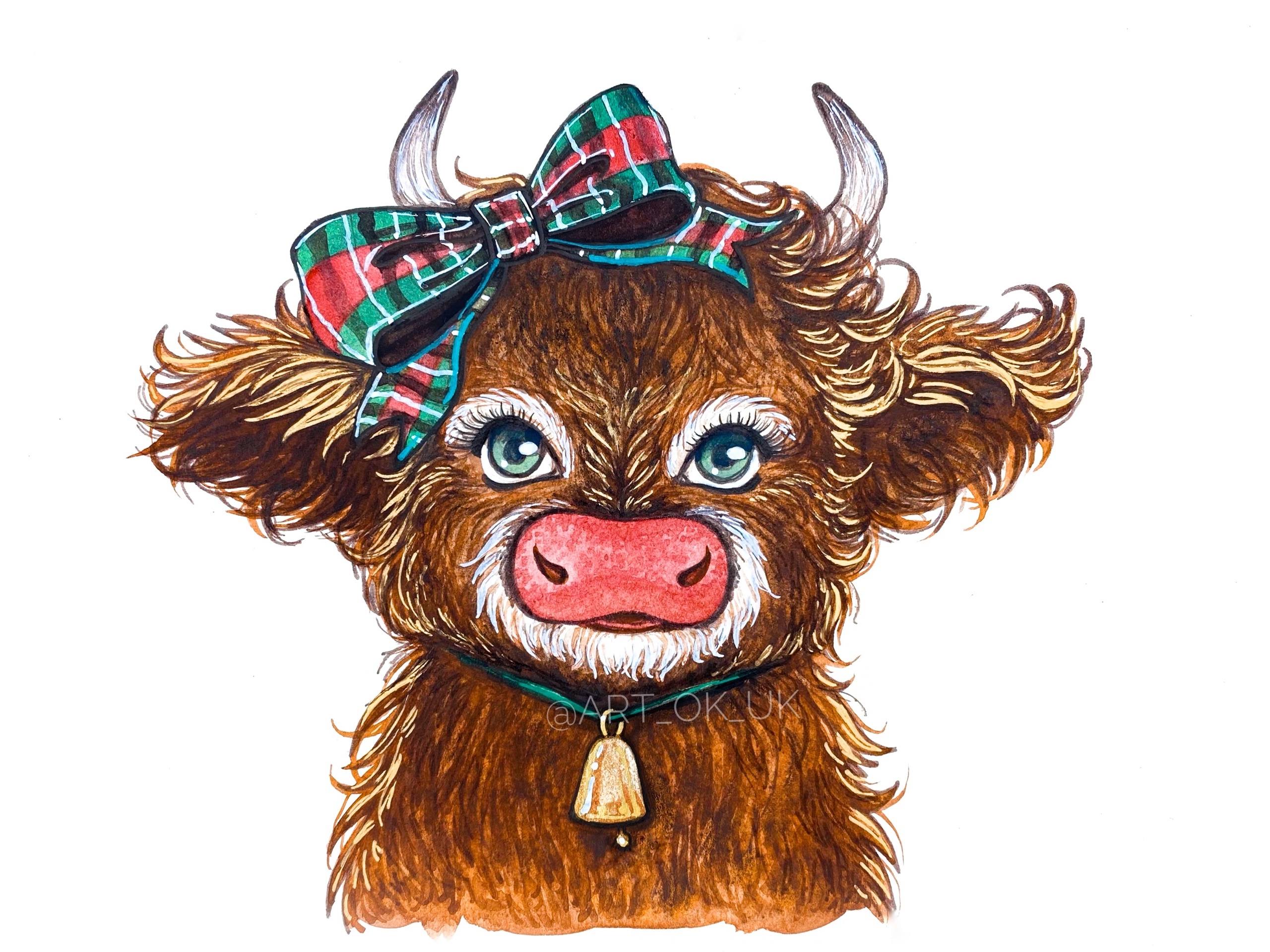 Мохнатая коровка шотландской породы Хайленд