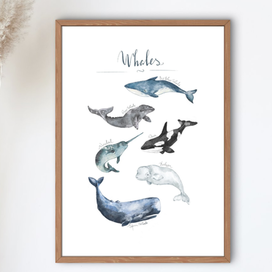 Постер Киты 