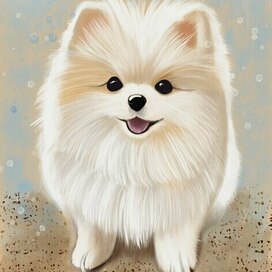 Померанский шпиц 