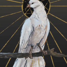 Голубь - символ мира