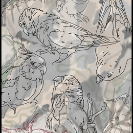 Попугайчики