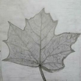 Кленовый лист