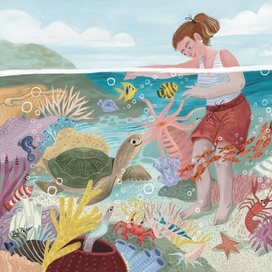 Пляжи Бразилии. Издательство Pioneer Valley Books