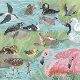 Пляжи Бразилии. Издательство Pioneer Valley Books