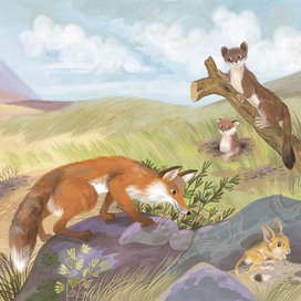 Кто где живёт. Издательство Робинс