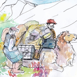 Экспедиция - Белые пятна