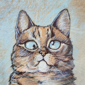 Рыбов насмотрелся