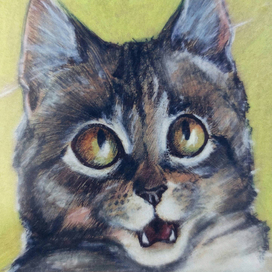 А может бросить всё и рвануть в психоневрологический диспансер?