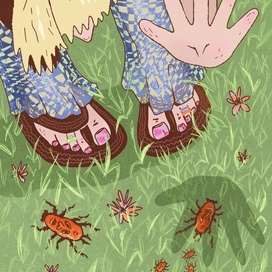 Жуки масочники