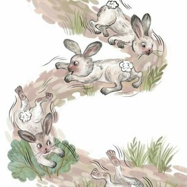 Беатрис Поттер. Кролик Питер. Издательство Wunderhause