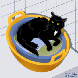 "Надо чёрное постирать"