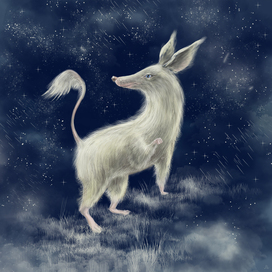 Звездный путешественник