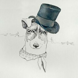 Джек Рассел в Санкт-Петербурге