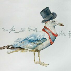 Чайка в Санкт-Петербурге