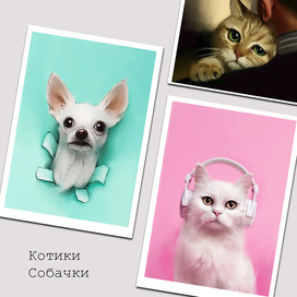Котики собачки