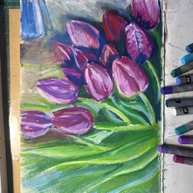 Тюльпаны 