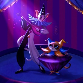 Цирковой музыкальный дуэт котов