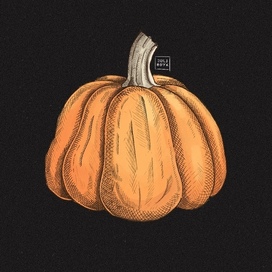 Ботаническая иллюстрация 