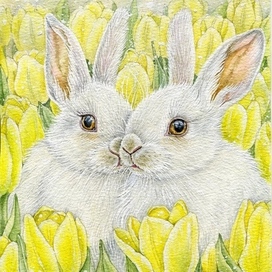 ‘’ Зайки в тюльпанах ‘’.