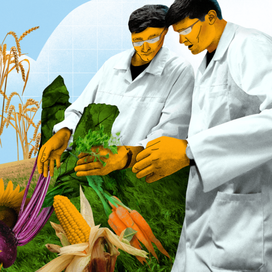 Журнальная иллюстрация