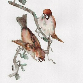 воробьи на ветке