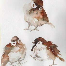 скетчи воробьишек