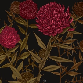 Неизвестные цветы