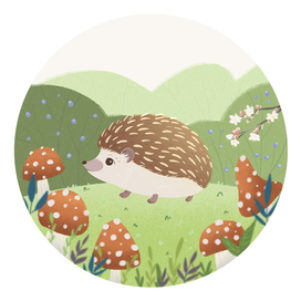 Книжная иллюстрация Ёжик в лесу