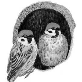 парные воробьишки