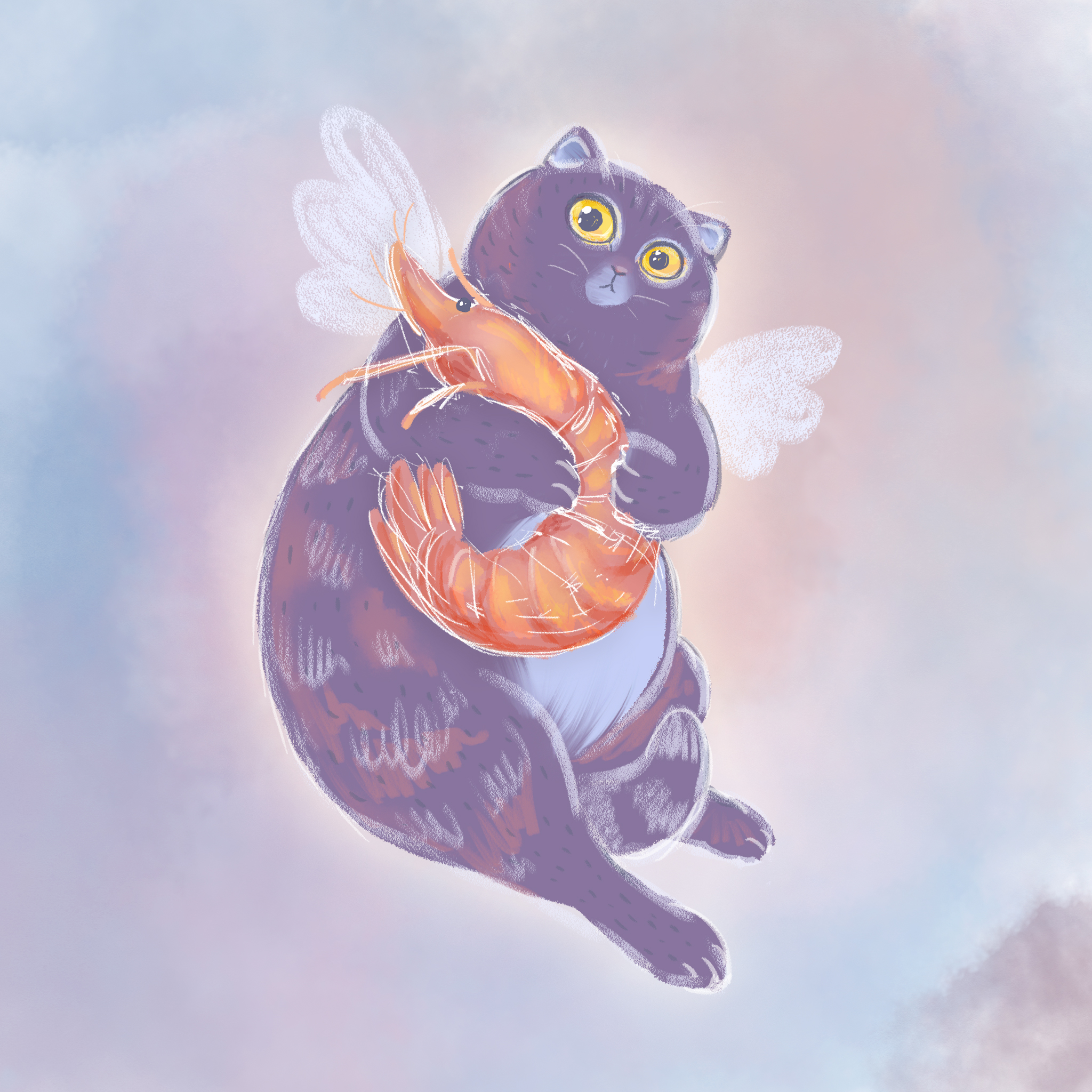 По ту сторону радуги