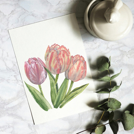 Тюльпаны акварель