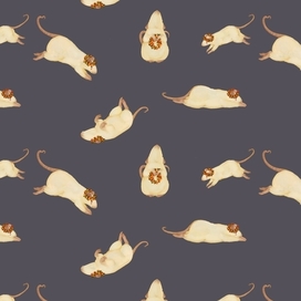 Умилительный паттерн 