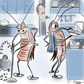 Наводят порядок