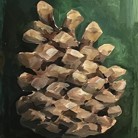 Лесная шишка