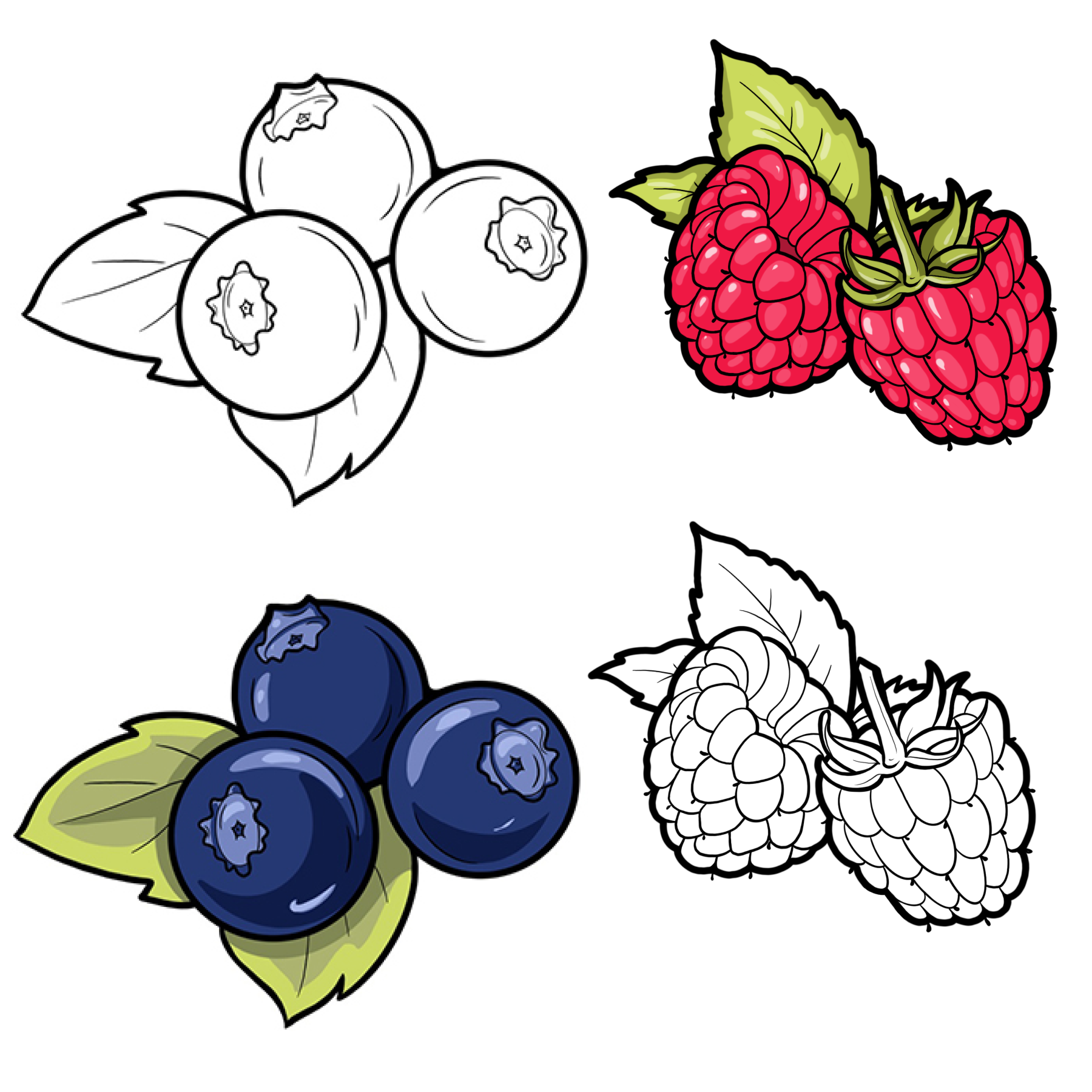 Иллюстрация - раскраски