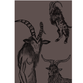 Козлы. Черти