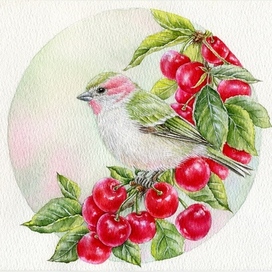 ‘’ Птичка на вишне ‘’.