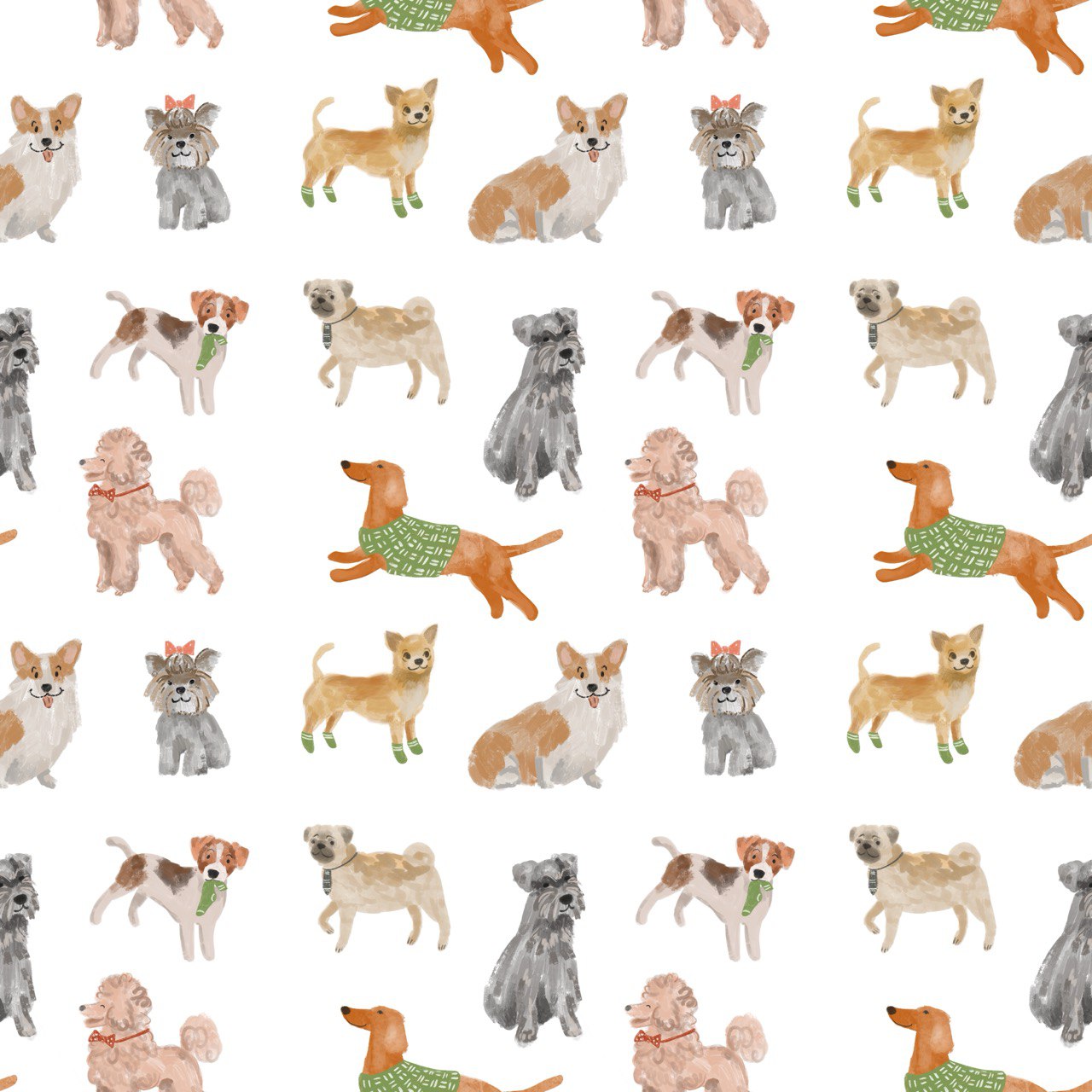 Забавные собачки