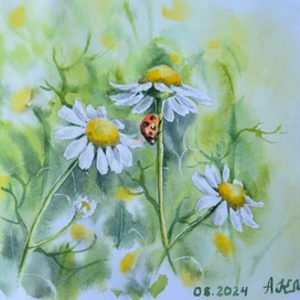 Дорогой солнца 