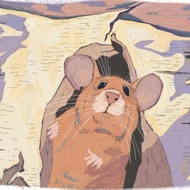 Иллюстрации к Казачьим сказкам