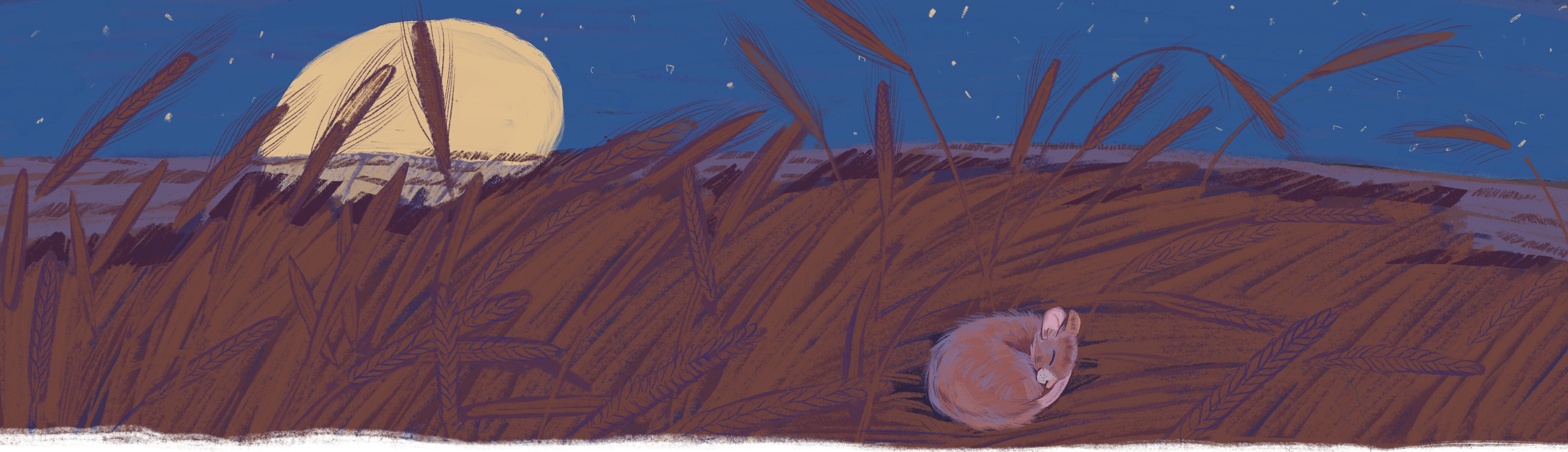 Иллюстрации к Казачьим сказкам