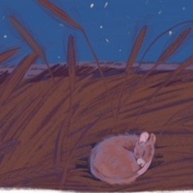 Иллюстрации к Казачьим сказкам 