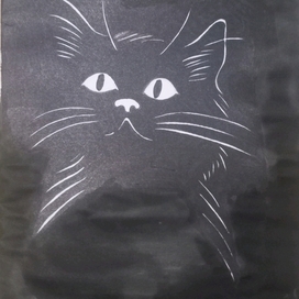 Черный кот в чёрном чулане 