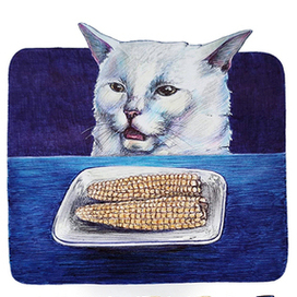 Тот самый кот