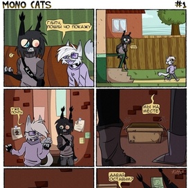 Mono cats
